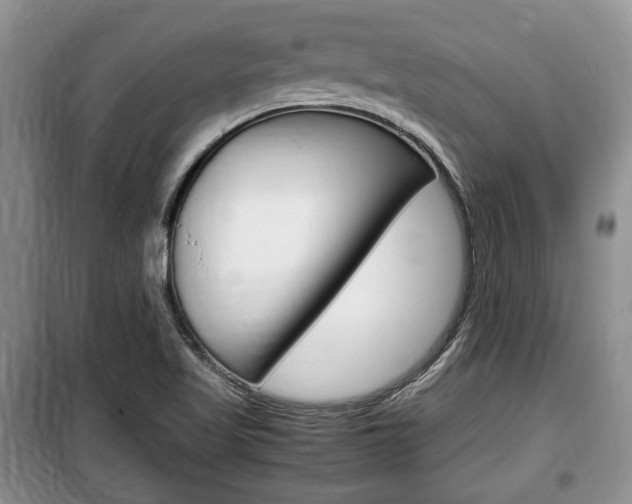 X0000100351509200806060748