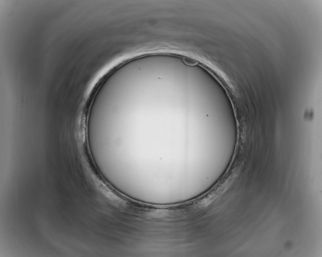 X0000100351510200806060748