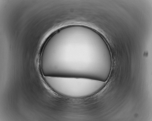 X0000100351511200806060748