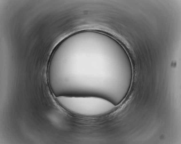X0000100351513200806060748