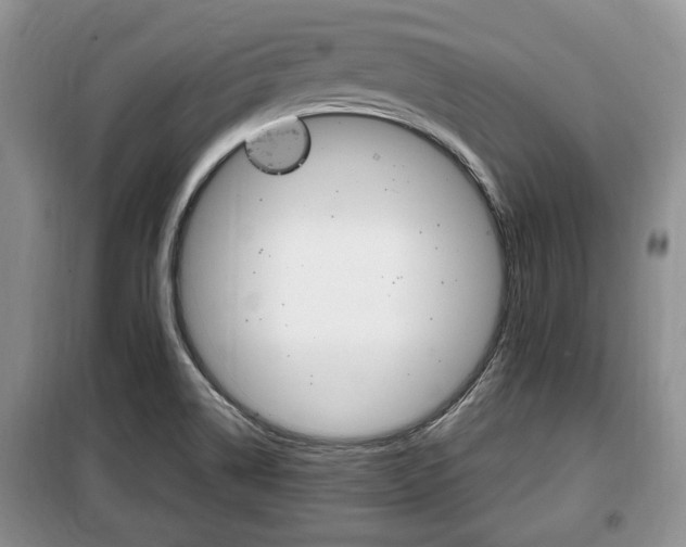 X0000100351514200806060748