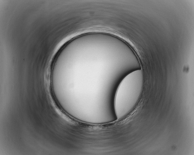 X0000100351515200806060748
