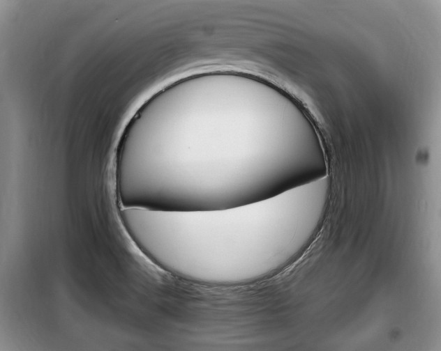 X0000100351516200806060748