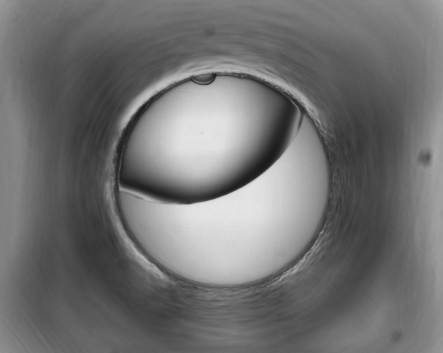 X0000100351518200806060748