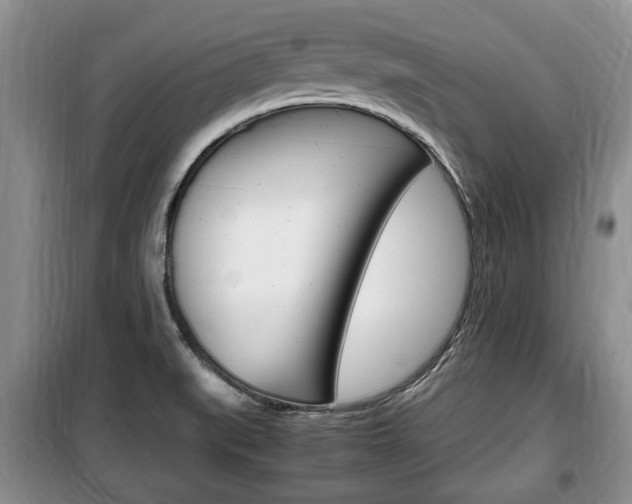 X0000100351519200806060748