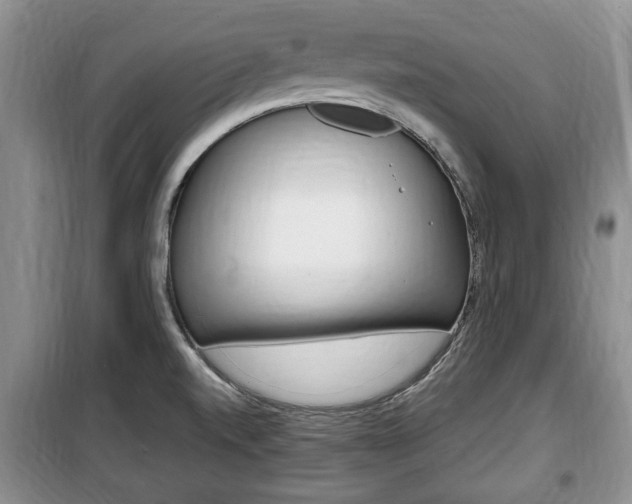 X0000100351520200806060748