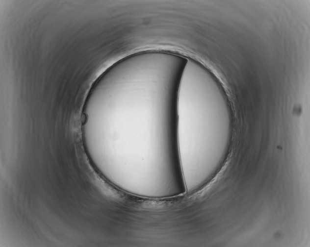 X0000100351521200806060748
