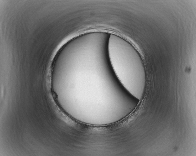 X0000100351522200806060748