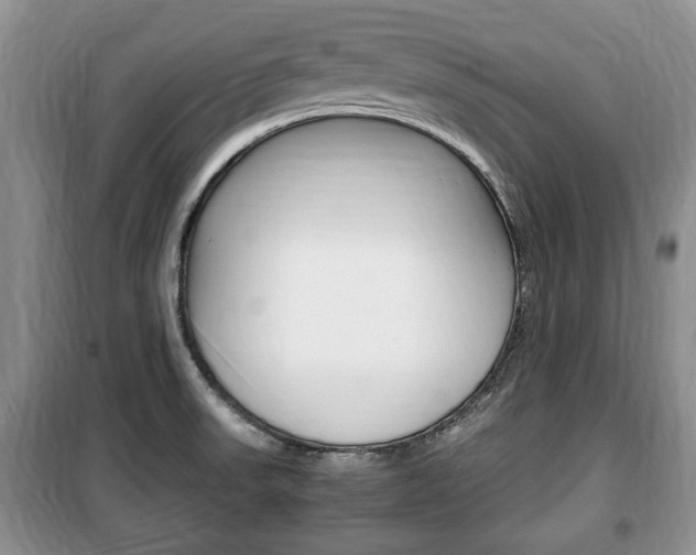 X0000100351523200806060748