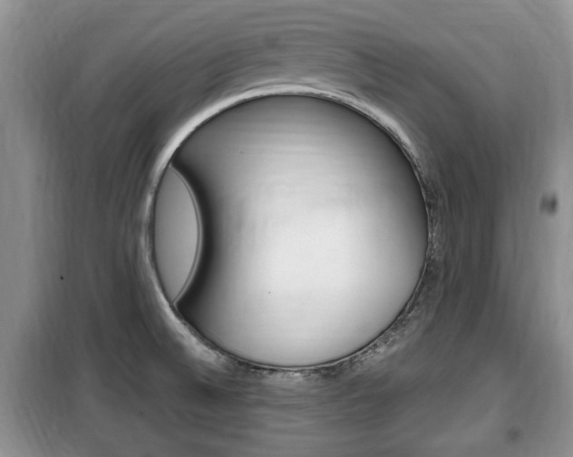 X0000100351524200806060748