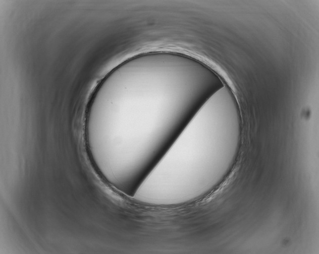 X0000100351525200806060748