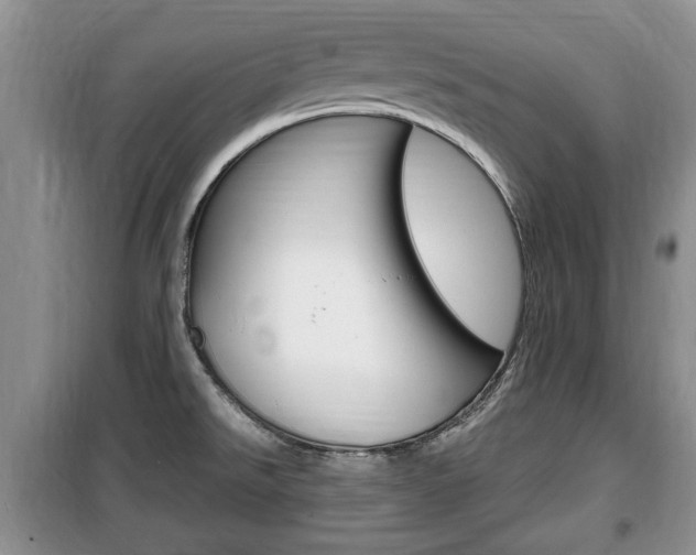 X0000100351526200806060748