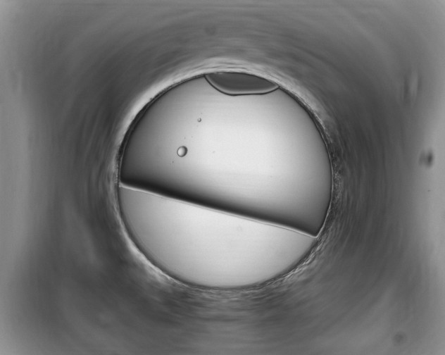 X0000100351527200806060748