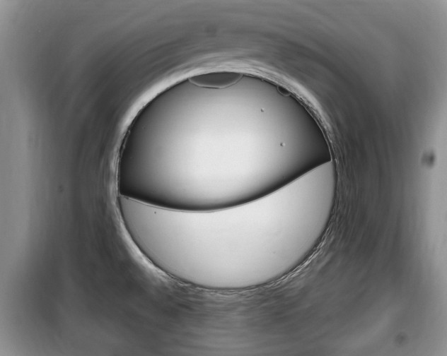 X0000100351528200806060748