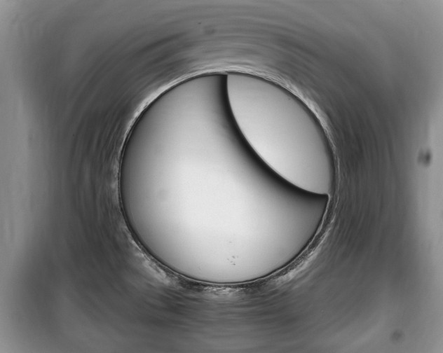 X0000100351529200806060748
