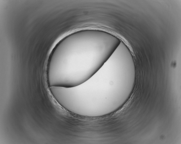 X0000100351530200806060748