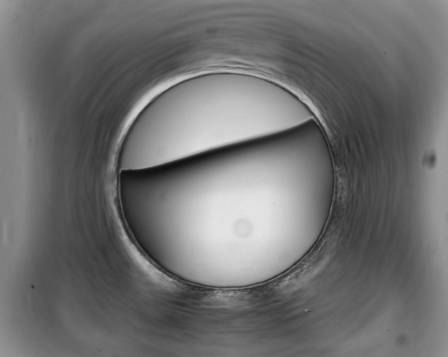 X0000100351531200806060748