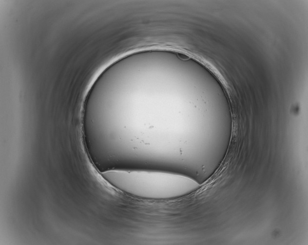X0000100351532200806060748