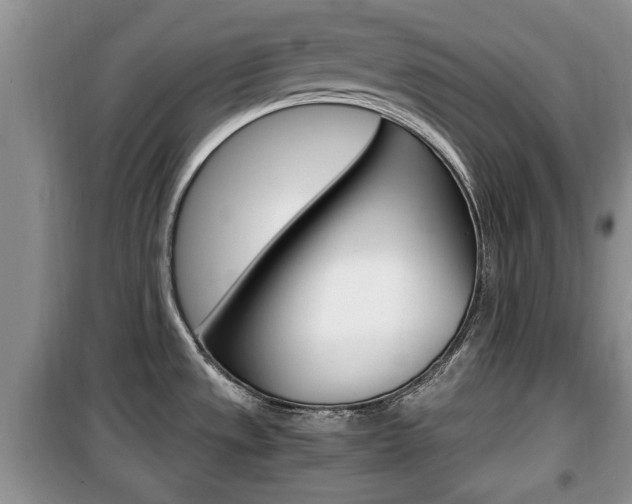 X0000100351533200806060748