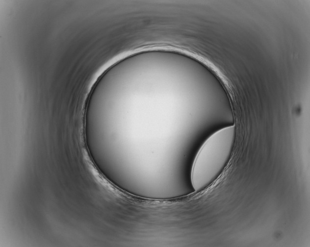X0000100351534200806060748