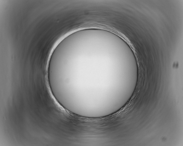 X0000100351536200806060748