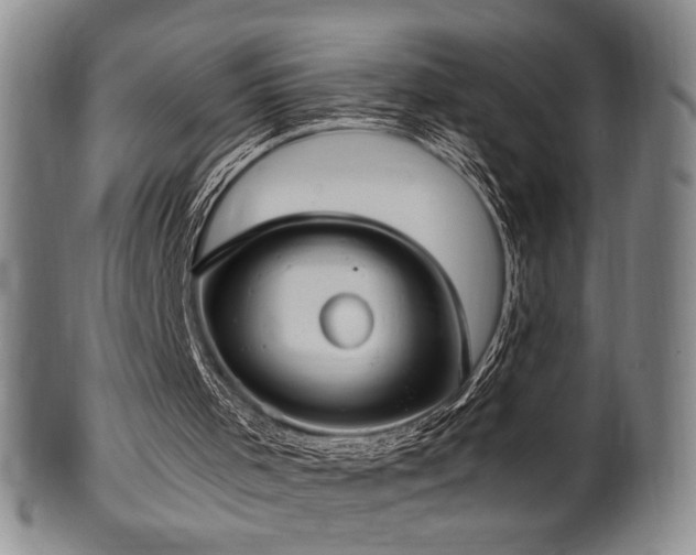 X0000100350001200806061125