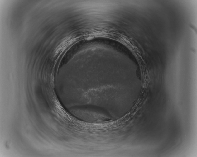 X0000100350002200806061125
