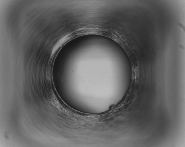 X0000100350004200806061125