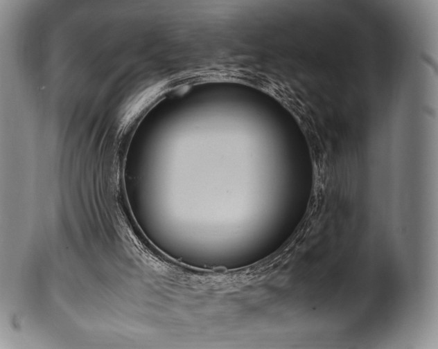 X0000100350005200806061125