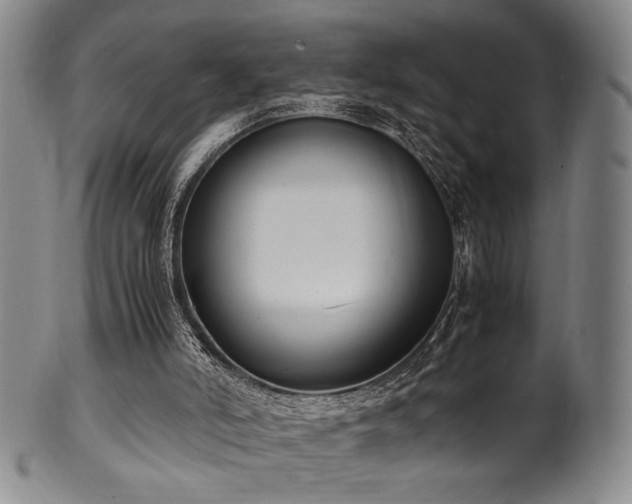 X0000100350006200806061125