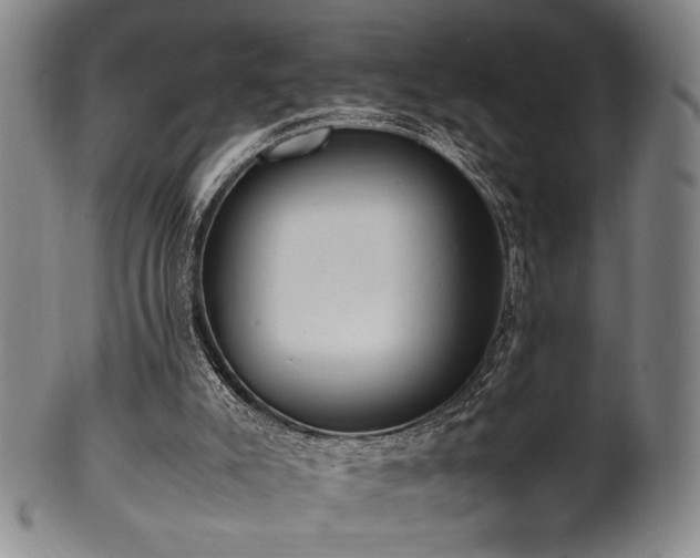 X0000100350007200806061125