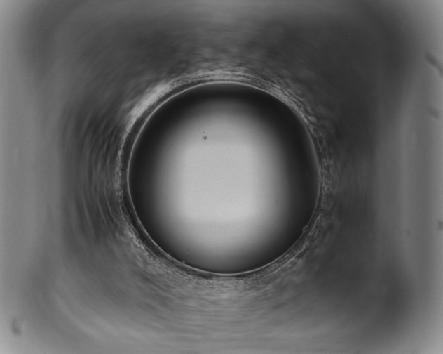 X0000100350008200806061125