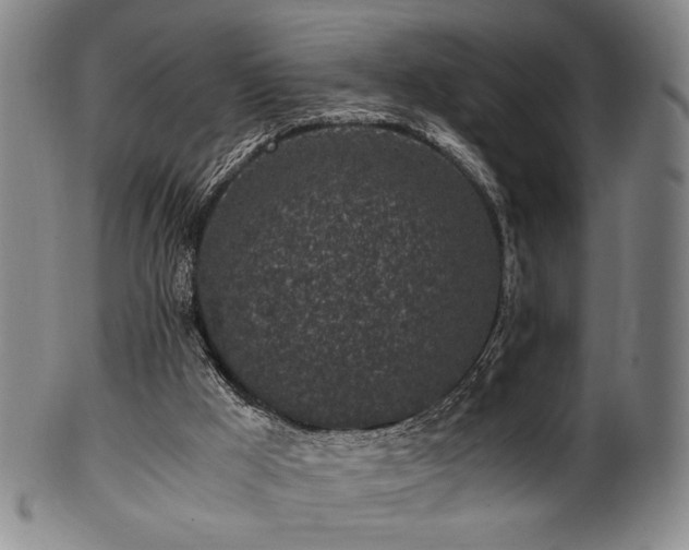 X0000100350009200806061125