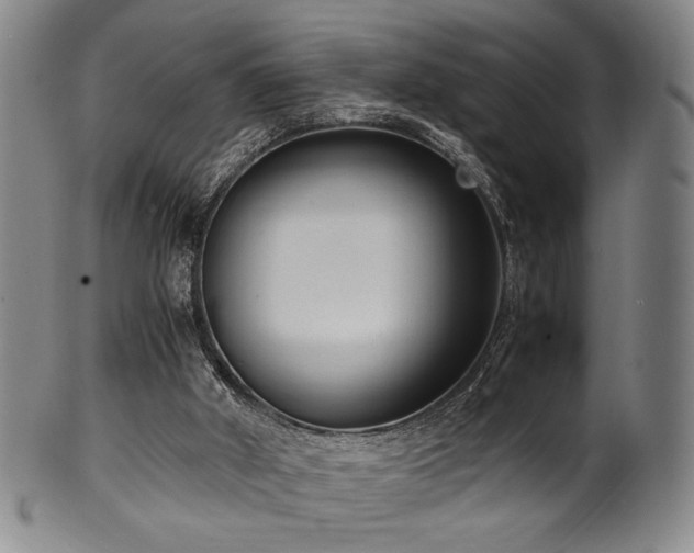 X0000100350010200806061125