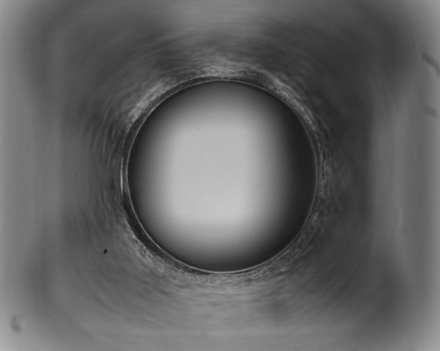 X0000100350011200806061125