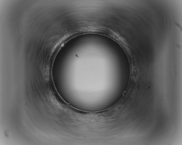 X0000100350012200806061125