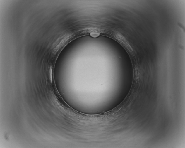 X0000100350014200806061125
