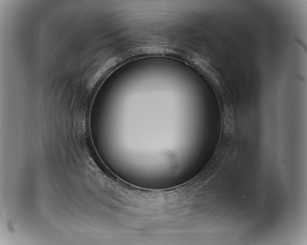X0000100350015200806061125
