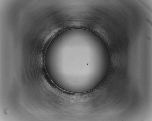 X0000100350016200806061125