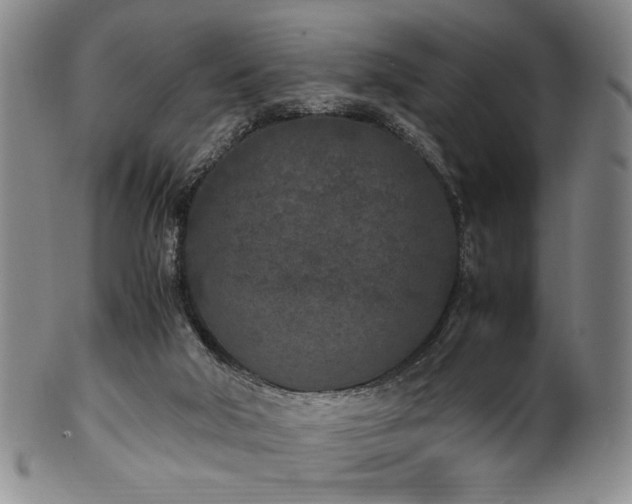 X0000100350018200806061125