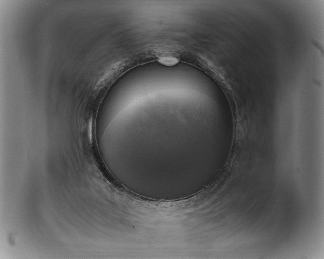 X0000100350019200806061125