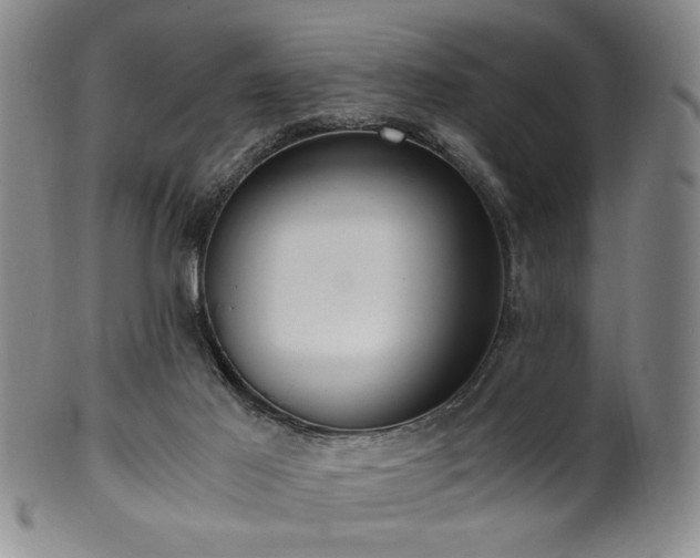 X0000100350021200806061125