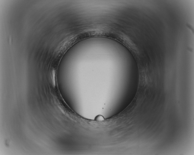 X0000100350022200806061124