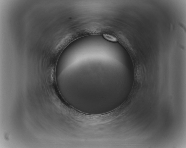 X0000100350023200806061124