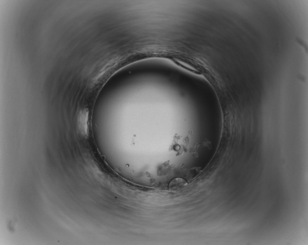 X0000100350024200806061124