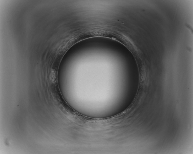 X0000100350025200806061124