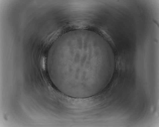 X0000100350026200806061124