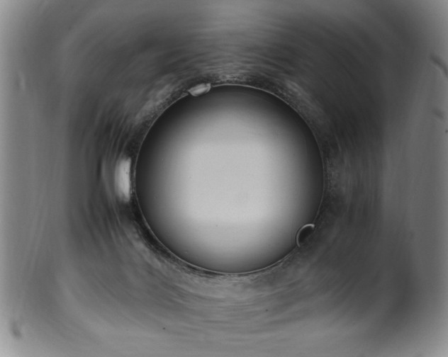 X0000100350028200806061124