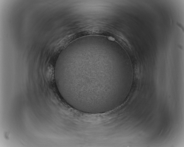 X0000100350029200806061124