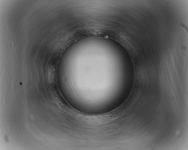 X0000100350030200806061124